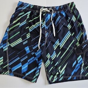 Men's Black Geometric Stripe Swim Trunks - Blue & Green